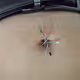 Pins-n-Needles