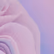 yousufortaccom