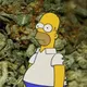 solodolo420