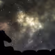 BojackStables
