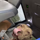JesseV69