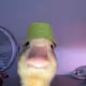 5467257572