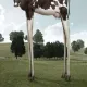 Hungryhippod