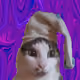 drttc