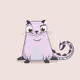 patrici_111