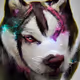 The_Husky_Project-ethereum