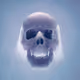 SeeNoEvil