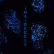 Insidecell