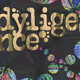 Dyligence_burner
