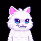 CATz2025