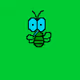 Mosquitoo-Collection