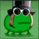 frogzin