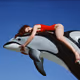 guybourdin.eth