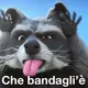 BasiVault