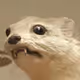 0x5e53cfaea6e9442700d684b0fd80c434cdcb0400