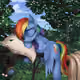 DashyLove