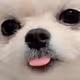 General-Pu