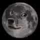 DarkVaDOGE_MuchScience