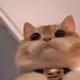 0x5e9e72020fb636f0072561446de56703057d2139
