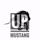 UP_mustang