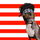 R3C3SS