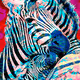 MaryanneChisholm-FND