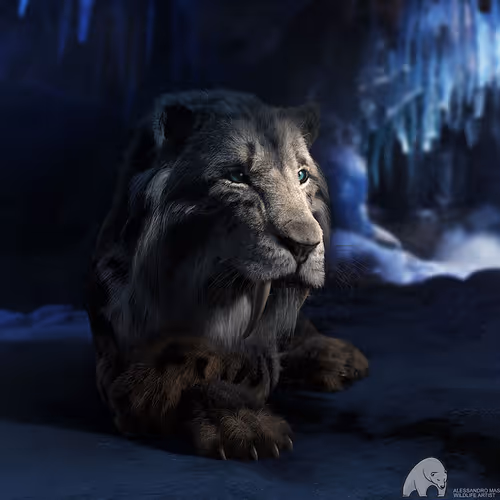 OpenSea profile picture for @MouraD