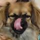 nhpnhp