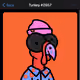 DAZTURKEY2