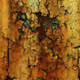 barisder8