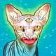 Jimmy_Coyote