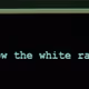 follow-the-white-rabbit