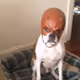 Big_Dilly