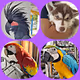 AnimalHaven