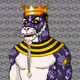 ShogunsTigerDojo