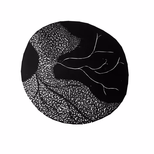 OpenSea profile picture for @Mensa