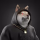 Binjarsh