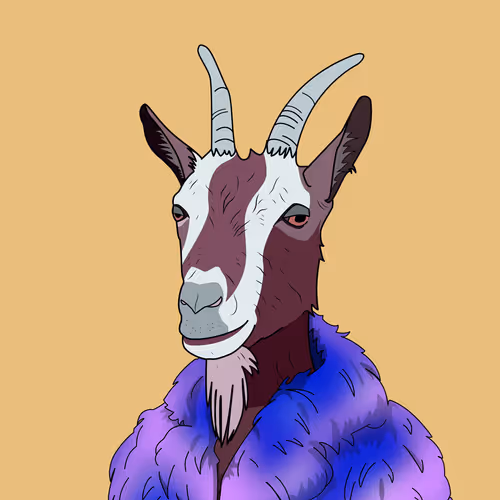 OpenSea profile picture for @Coincidences