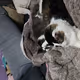 grumpystate