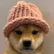 ventornedoraidoneth________________flipNFTbot