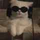 0x6064063c2422fcd242bd0d03f26838e830c6ed4f