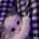 mneeyyymaker1111