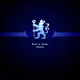 drogbahazard