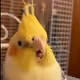 MisterMasta