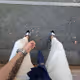 TitleSupra