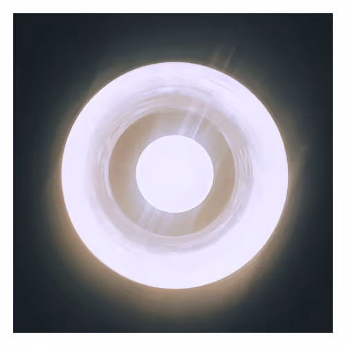 OpenSea profile picture for @Portraits