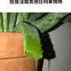 oxjuncheang
