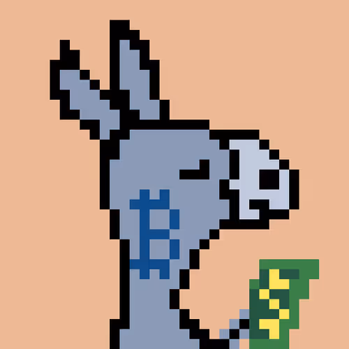 OpenSea profile picture for @Daytona