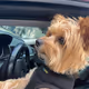 Tdubbs005