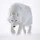 MrWulf2